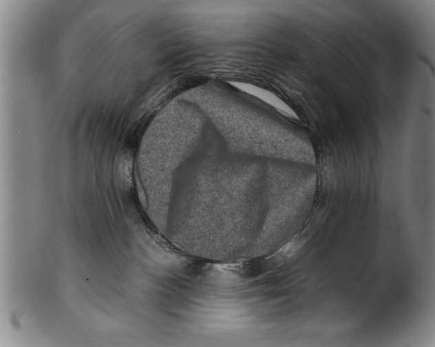 X0000099470188200806061229