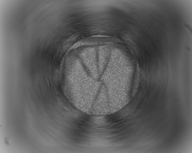 X0000099470189200806061229