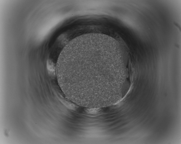 X0000099470191200806061229