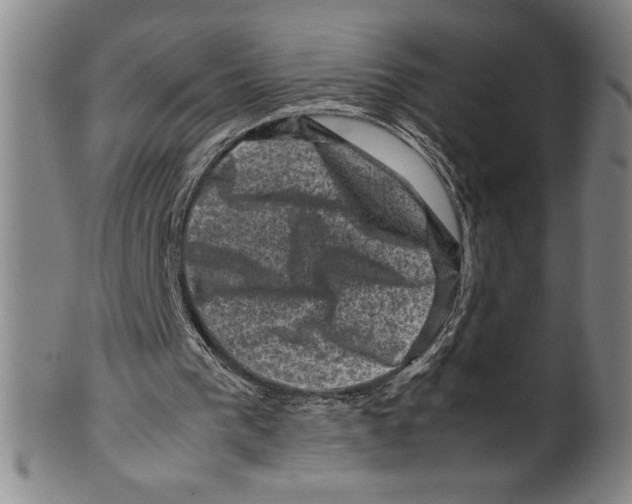 X0000099470193200806061228