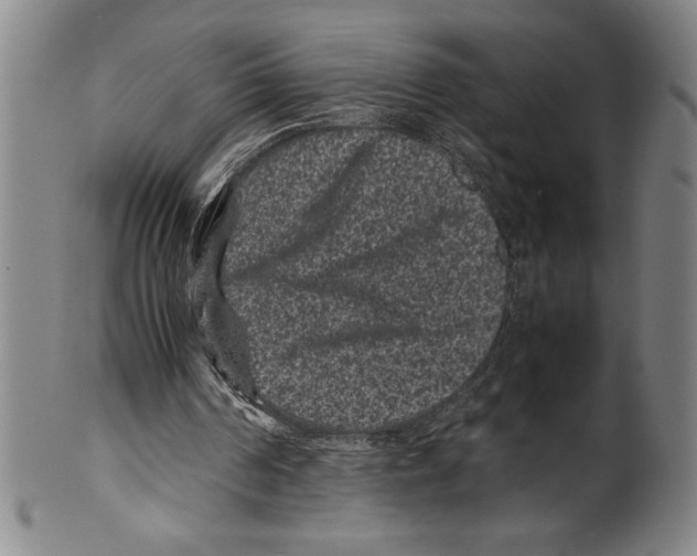 X0000099470194200806061228