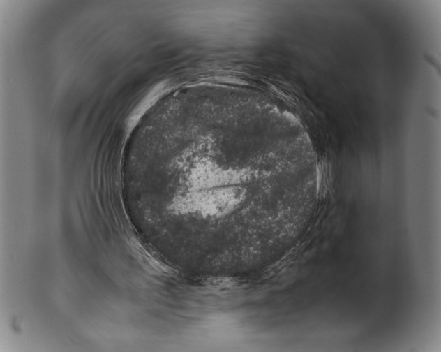 X0000099470195200806061228