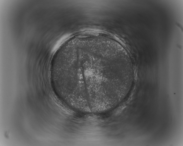 X0000099470199200806061228