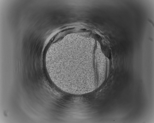 X0000099470200200806061228