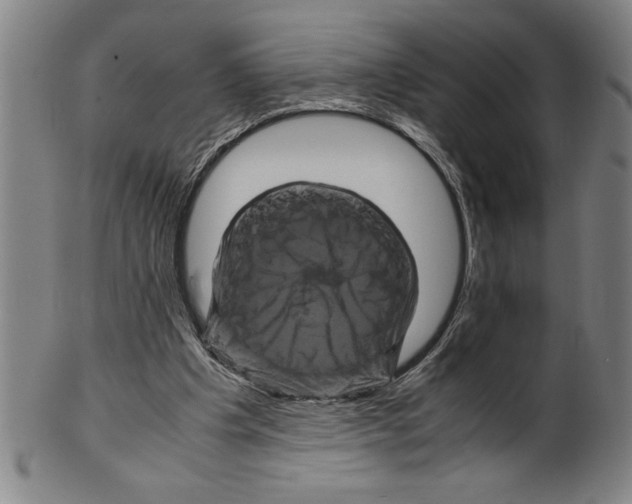 X0000099470201200806061228