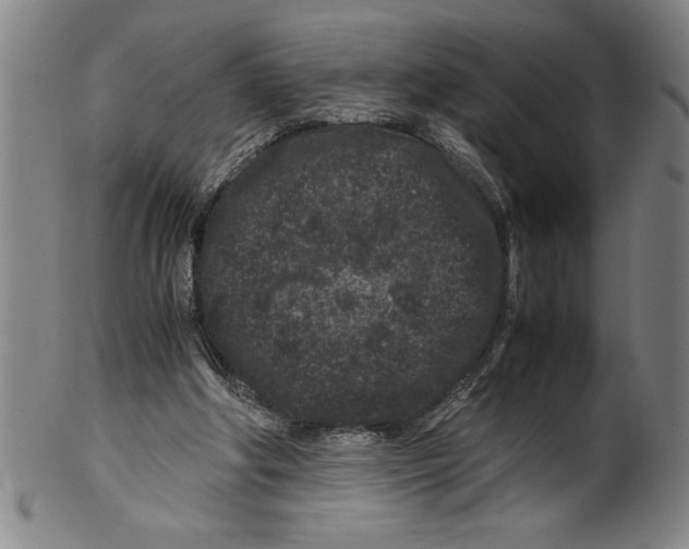 X0000099470202200806061228