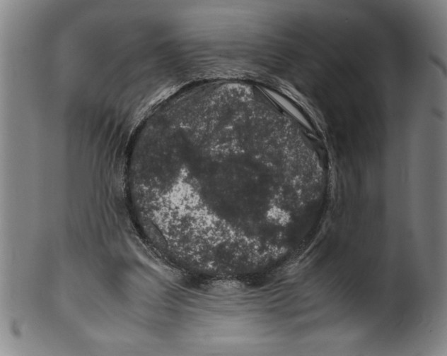 X0000099470203200806061228