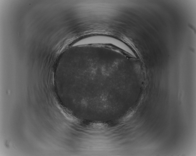 X0000099470205200806061228