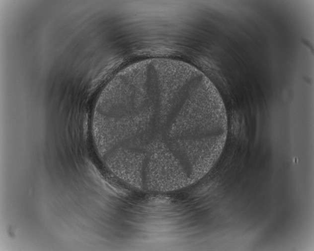 X0000099470206200806061228