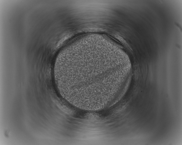 X0000099470207200806061228