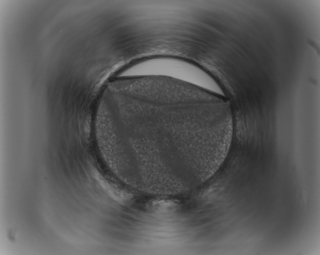 X0000099470208200806061228