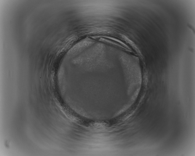 X0000099470209200806061228