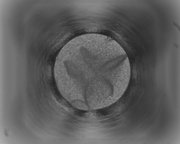 X0000099470211200806061228