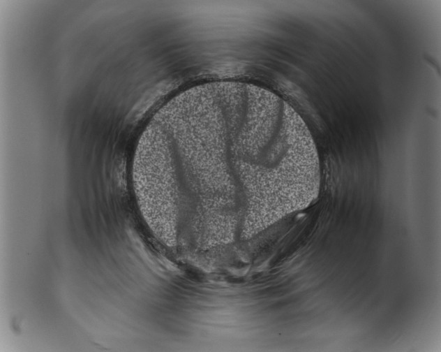 X0000099470212200806061228