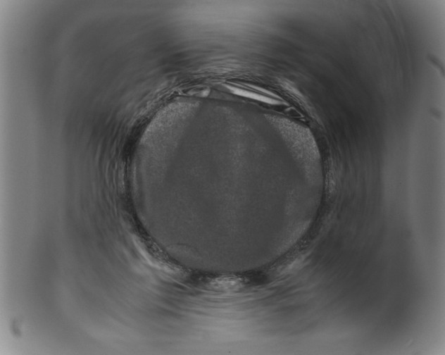 X0000099470213200806061228