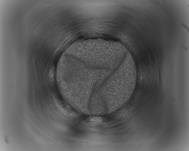 X0000099470214200806061228