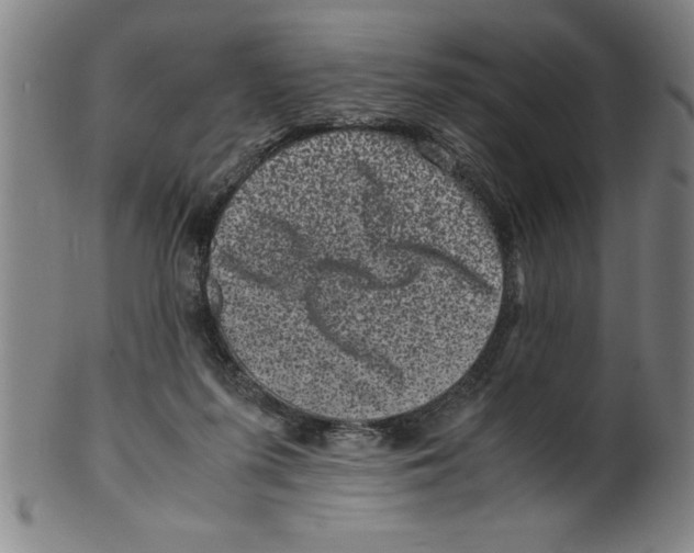 X0000099470215200806061228