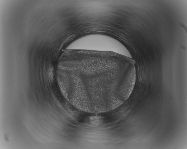 X0000099470216200806061228