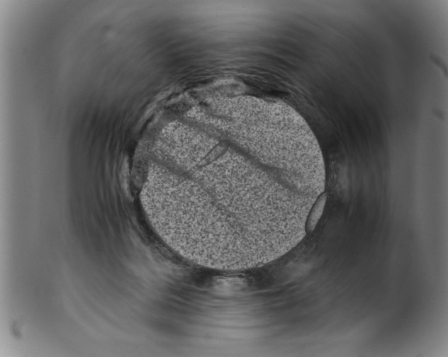 X0000099470220200806061228