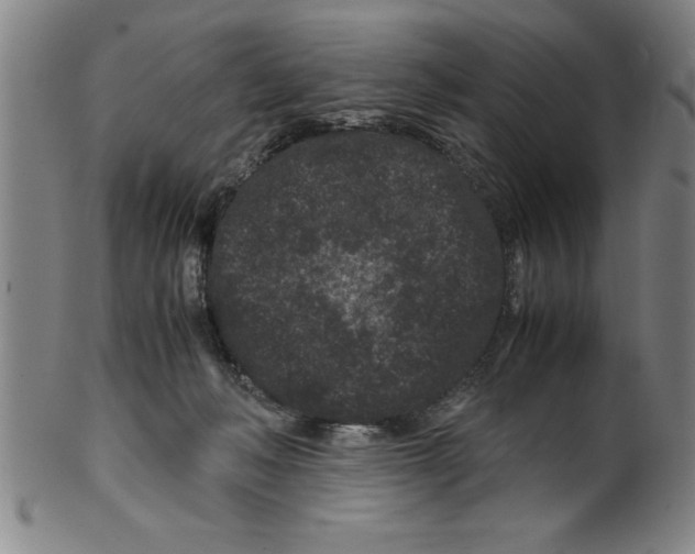 X0000099470222200806061228