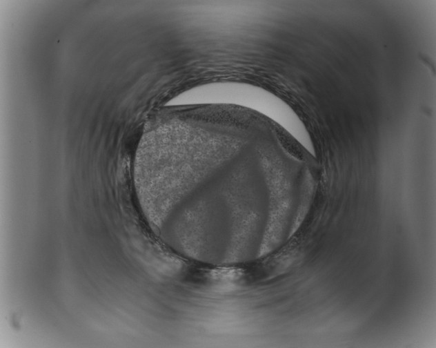 X0000099470225200806061227