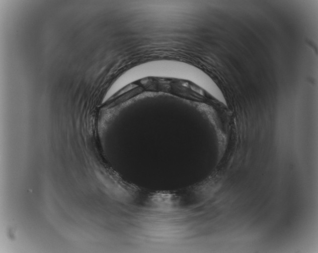 X0000099470227200806061227