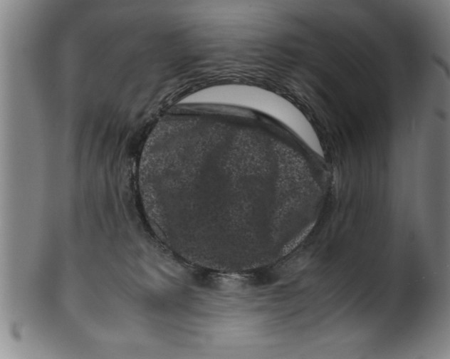 X0000099470229200806061227