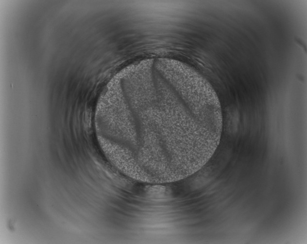 X0000099470230200806061227