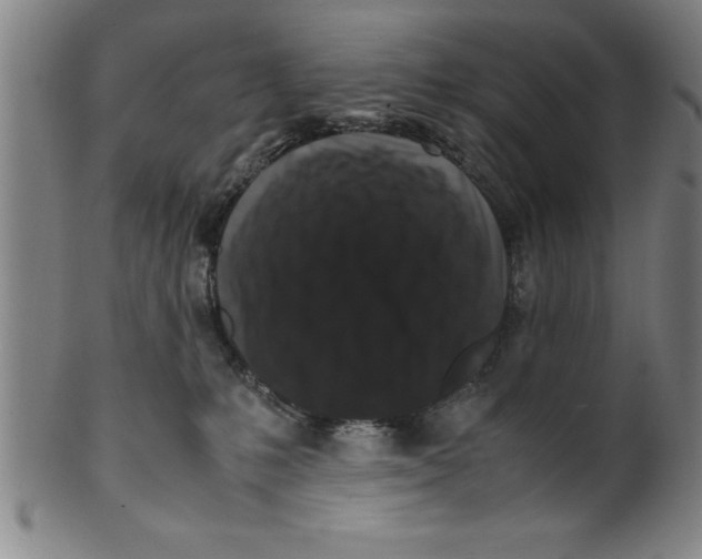 X0000099470231200806061227