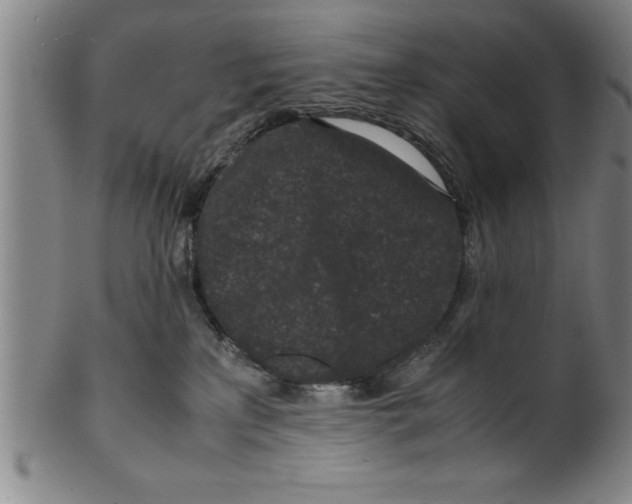 X0000099470233200806061227