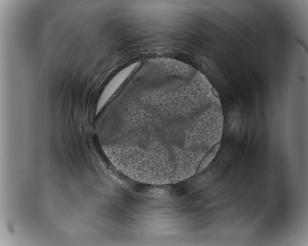 X0000099470236200806061227