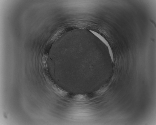 X0000099470237200806061227