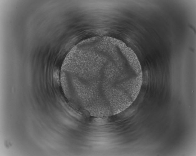 X0000099470238200806061227