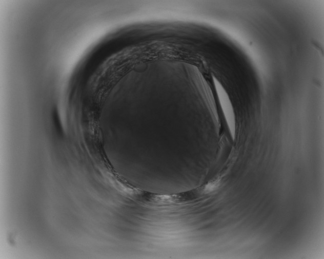 X0000099470239200806061227