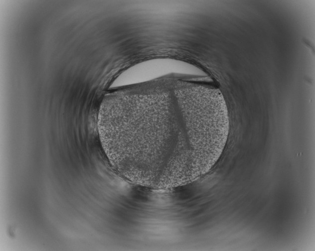 X0000099470240200806061227