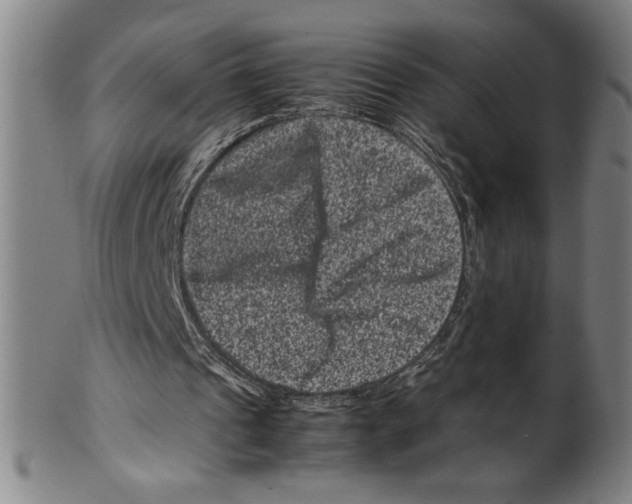 X0000099470241200806061226