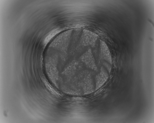 X0000099470242200806061226