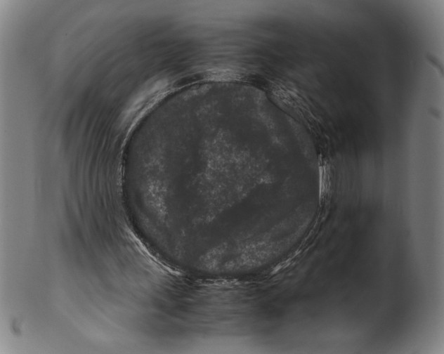 X0000099470243200806061226