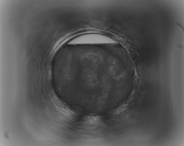 X0000099470247200806061227