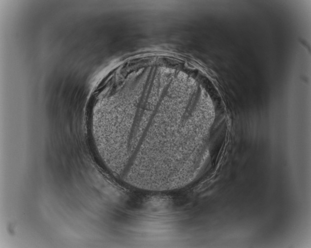 X0000099470248200806061227