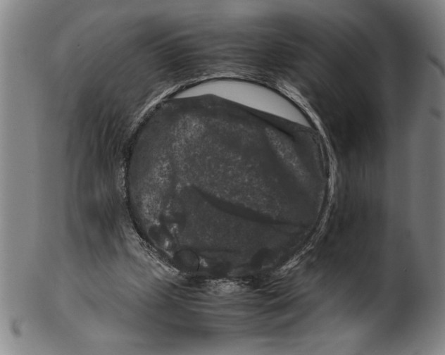 X0000099470249200806061227