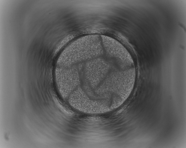 X0000099470250200806061227