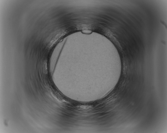 X0000099470251200806061227