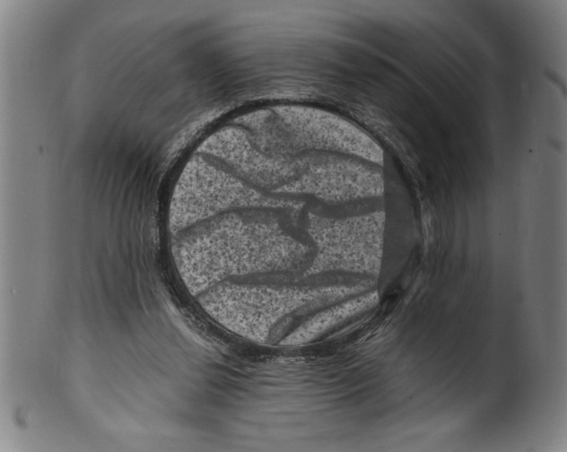 X0000099470252200806061227