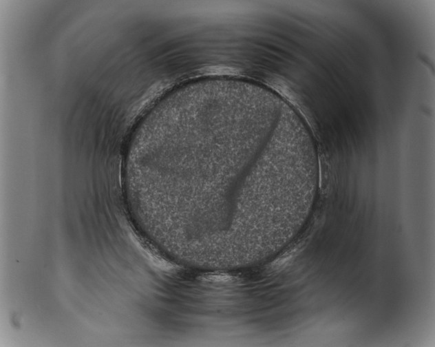 X0000099470253200806061227