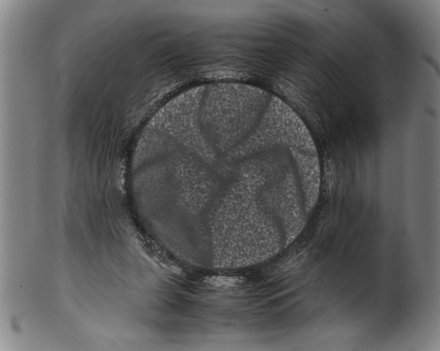 X0000099470255200806061227