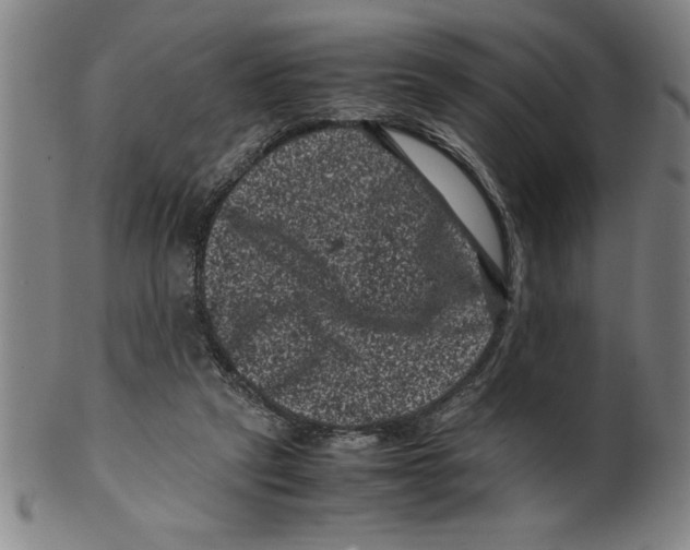 X0000099470257200806061227