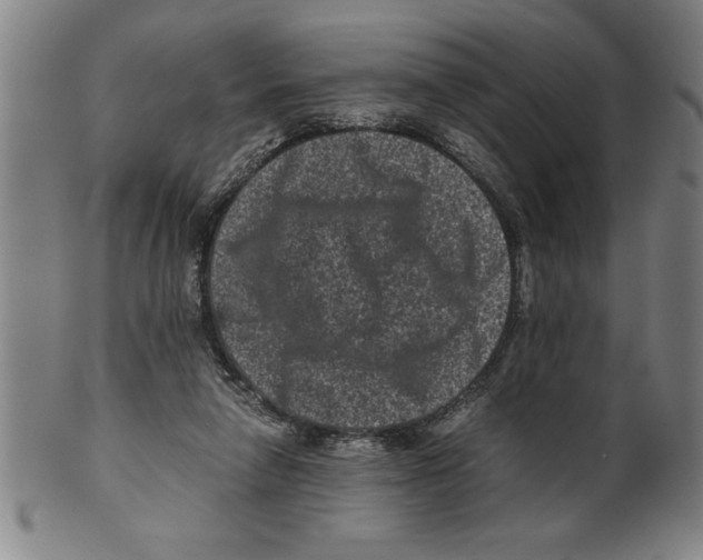 X0000099470258200806061227