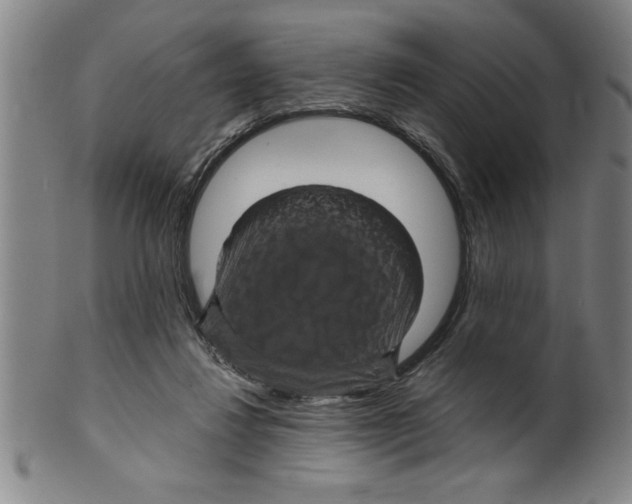 X0000099470260200806061227