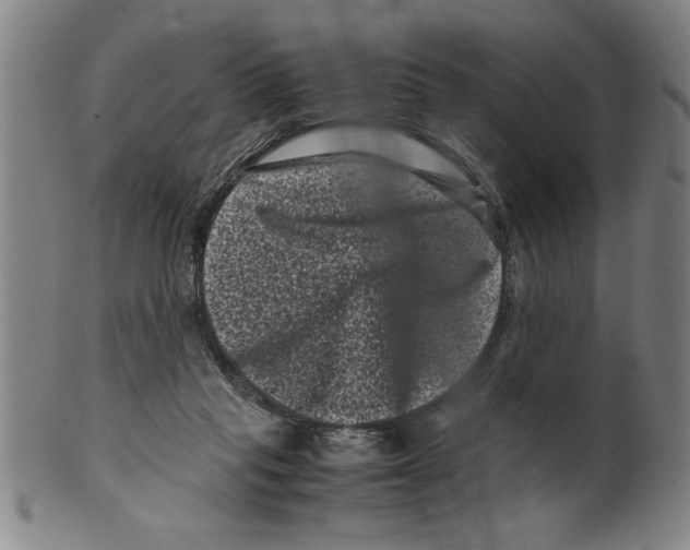 X0000099470261200806061227